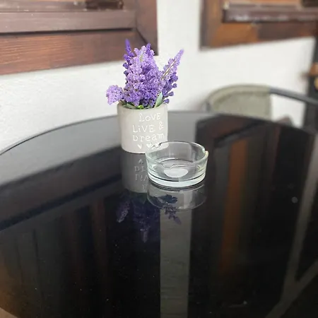 Mountain Apartamento *