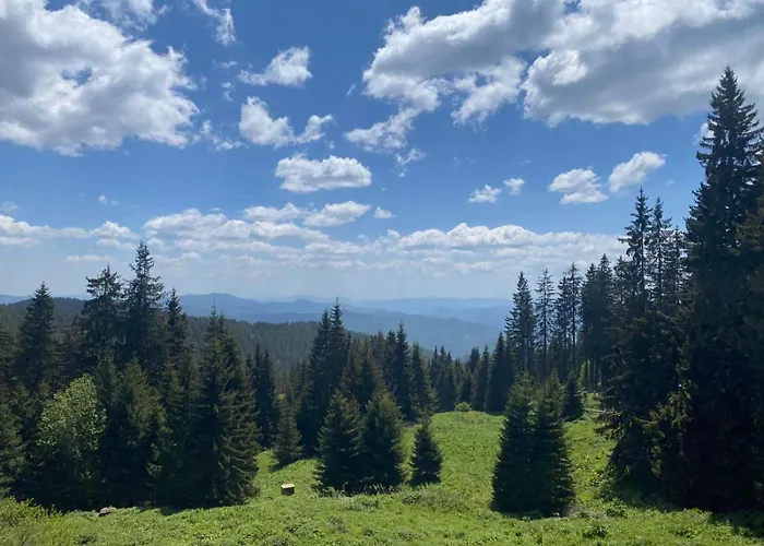 Lejlighed Mountain Pamporovo