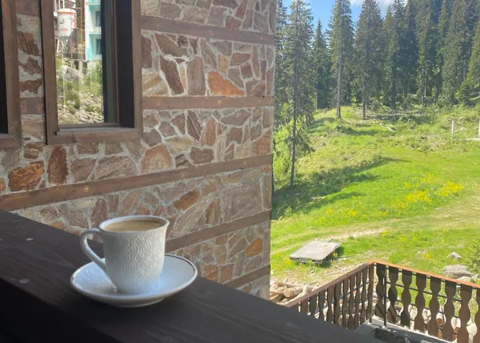 Mountain Apartment Pamporovo